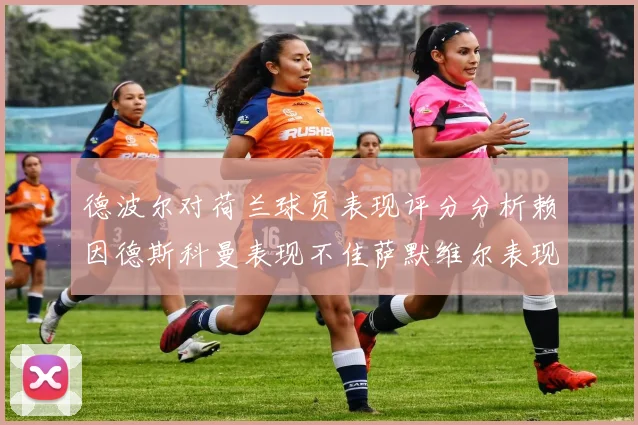 德波尔对荷兰球员表现评分分析赖因德斯科曼表现不佳萨默维尔表现出色