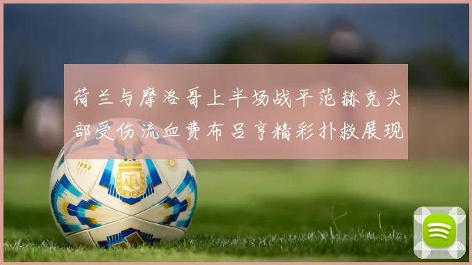 荷兰与摩洛哥上半场战平范赫克头部受伤流血费布吕亨精彩扑救展现实力
